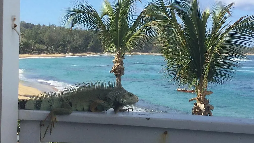 Western Puerto Rico Beach Villas, Isabela